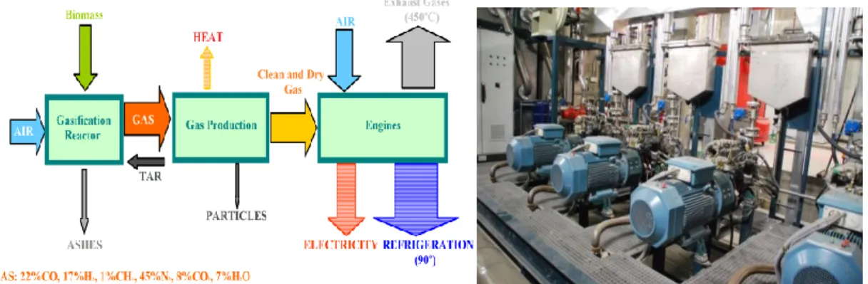 Fig. 8.  Biomass Cogeneration