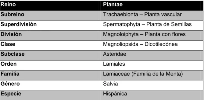 Tabla 1.Clasificación botánica de la Salvia hispánica 
