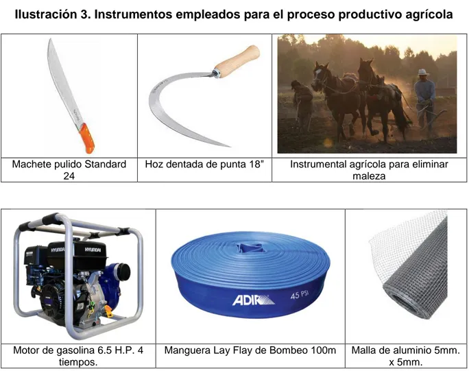 Ilustración 3. Instrumentos empleados para el proceso productivo agrícola 