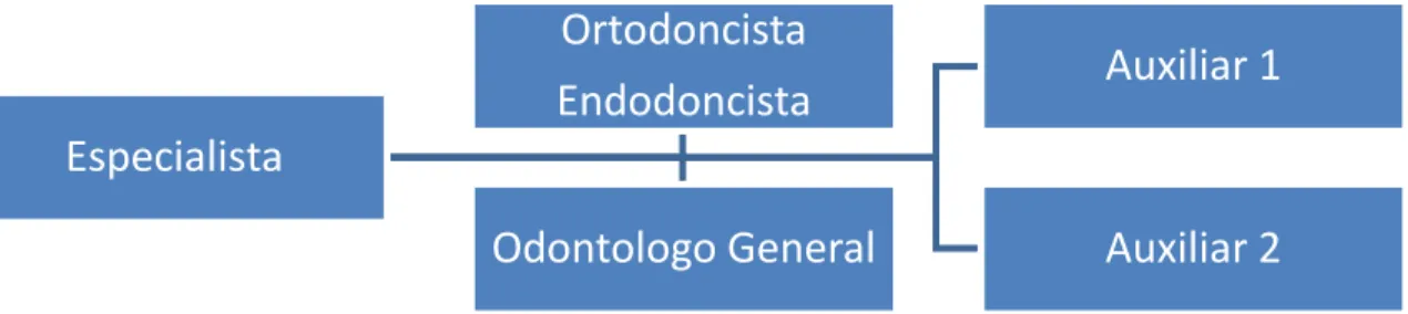 Figura 1 Organigrama administrativo del Centro de Odontología Avanzada. 
