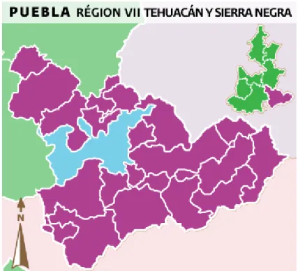 Figura 3 Ubicación geográfica del municipio de Tehuacán. 