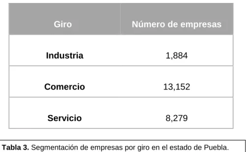 Tabla 3. Segmentación de empresas por giro en el estado de Puebla.  