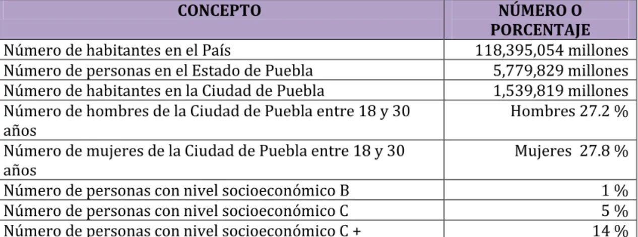 Tabla 10. Análisis de la demanda 