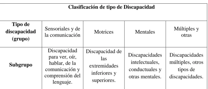 Tabla 2. Clasificación de tipo de discapacidad 