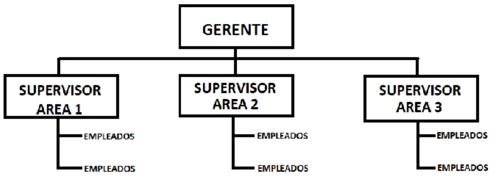 Gráfico 5.2.2 Estructura del Modelo Funcional 