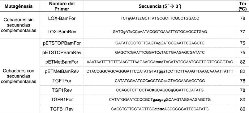 Tabla 1. Lista de primers empleados en las distintas mutagénesis y las mutaciones que  contienen (en minúscula y en negrita)