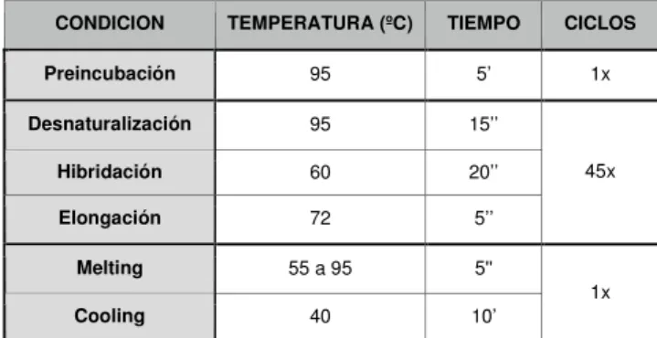 Tabla 1. Condiciones generales de la qPCR.  