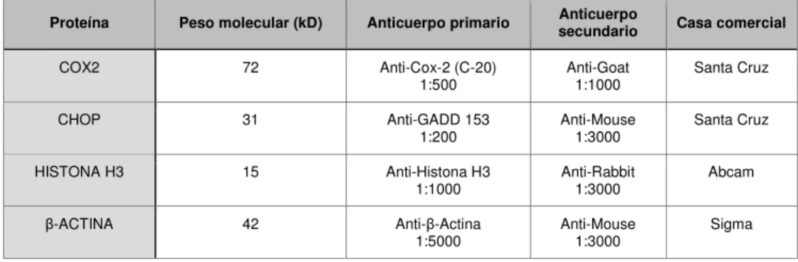 Tabla 4. Resumen primers utilizados para chip. 