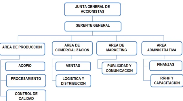 Figura 4.1 Organigrama Estructural