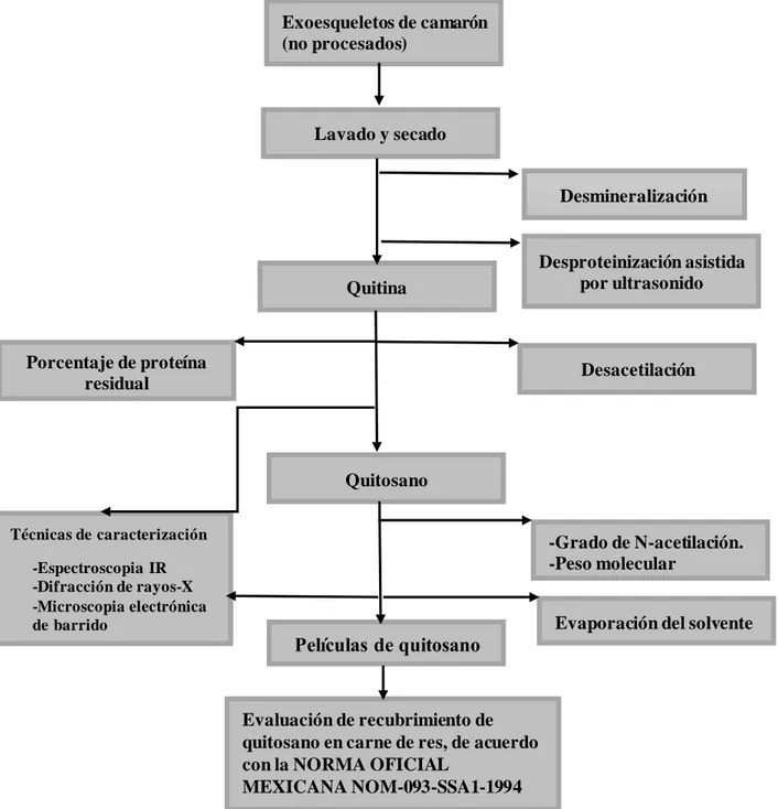 Figura 5. Diagrama general de la metodología. 