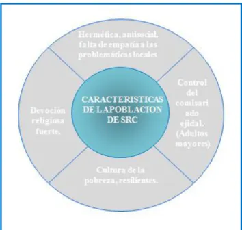 Figura 11.- Características de la población de SRC. 