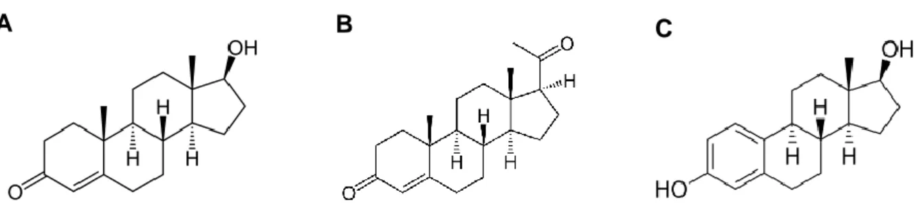 Figura  6.  Estructura  de  los  esteroides  sexuales  empleados.  A)  Testosterona.  Hormona  perteneciente  al  grupo  de  los  andrógenos
