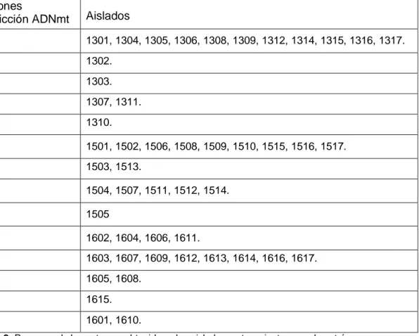 Tabla 2: Resumen de los patrones obtenidos y los aislados pertenecientes a cada patrón