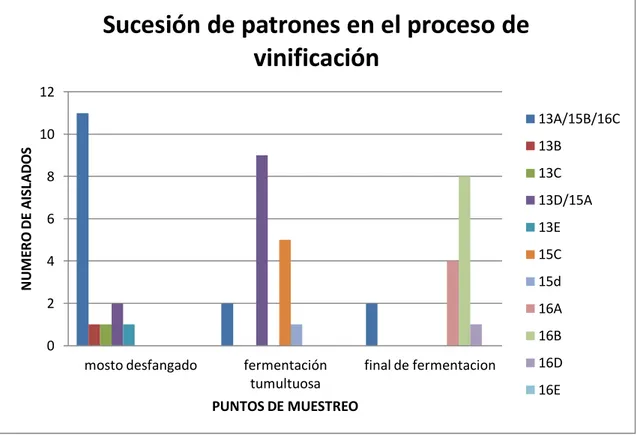 Figura  1:  Diagrama  de  barras  con  la  sucesión  de  patrones  en  el  proceso  fermentativo  y  el  número  de  aislados perteneciente a cada patrón