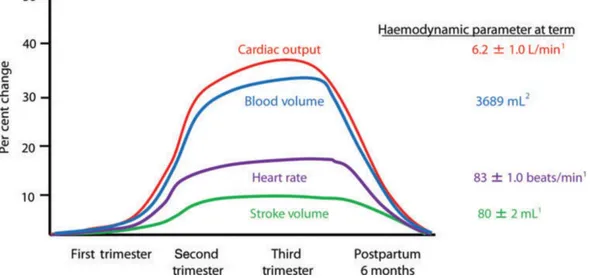 Figura  2.  Cambios  hemodinámicos  durante  el  embarazo.  El  gasto  cardíaco,  la  frecuencia cardíaca, el volumen sistólico y el volumen sanguíneo aumentan entre 5  y 8 semanas gestación, pico hasta mediados del embarazo, y se mantiene hasta el  final 