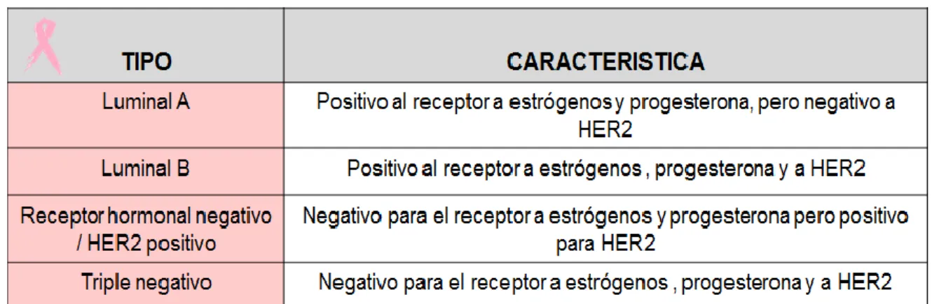 Tabla 1. Clasificación del cáncer de mama 
