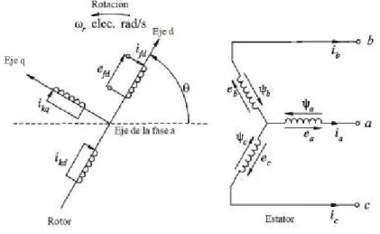 Figura 2.5. Circuitos del rotor y estator de la máquina sincrónica [4]. 