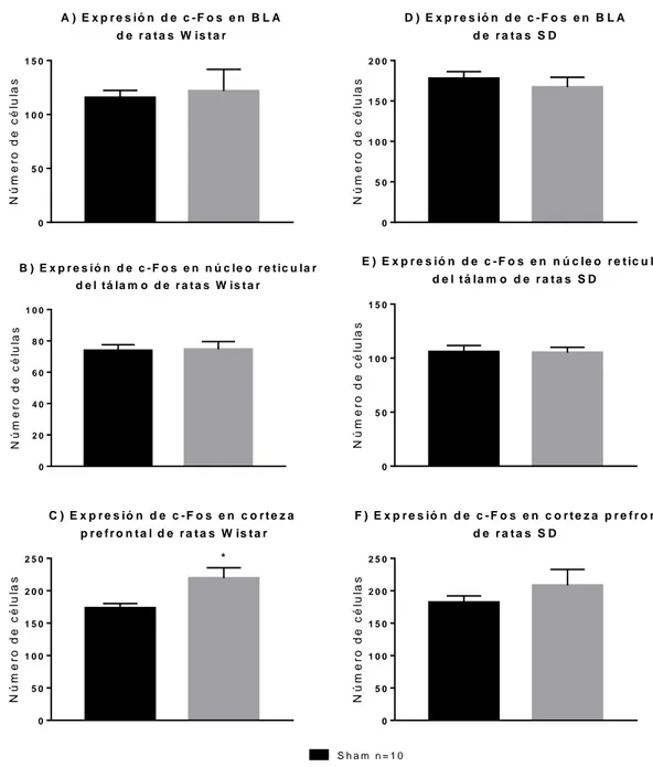 Figura 12. Actividad neuronal de las regiones del sistema límbico de las ratas con OBX de  las cepas Wistar y SD