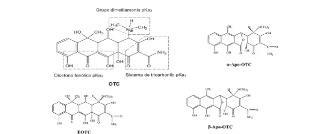 Figura 3. Estructura de la OTC (OTC) y sus productos de degradación 4-epi-OTC (EOTC), α-Apo- α-Apo-OTC (α-Apo-α-Apo-OTC) y β-Apo-α-Apo-OTC (β-Apo-α-Apo-OTC)