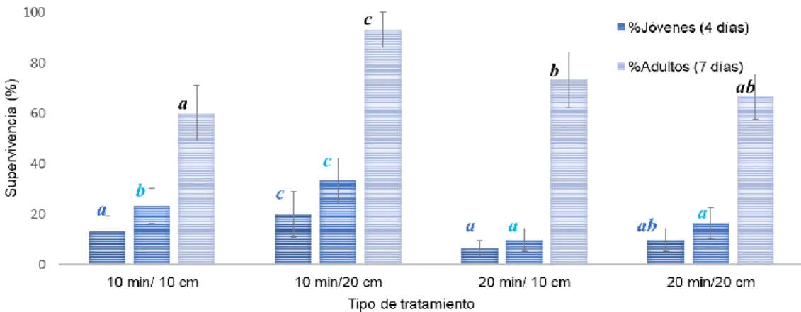 Figura 7. Prueba de toxicidad con Daphnia magna ante radiación UV-B a diferentes tiempos y alturas  de exposición