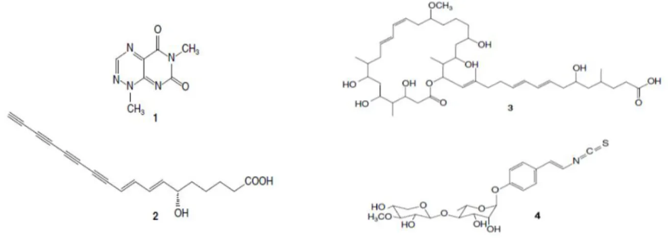 Fig. 8. Estructura química de los antimicrobianos producidos por B. gladioli Lv. StA. 1) Toxoflavina; 2)  Caryoynecina; 3) Lagriene; 4) sinapegladioside