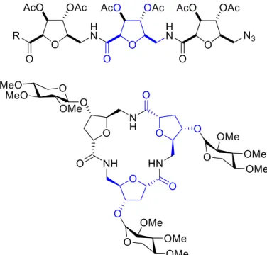 Figura 11. Carbopeptoide 