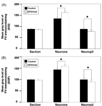 Figure 8 Bar graphs showing the mean gray level of parval- parval-bumin immunostaining in the deep layers of the SC in control and GPG/Vall hamsters