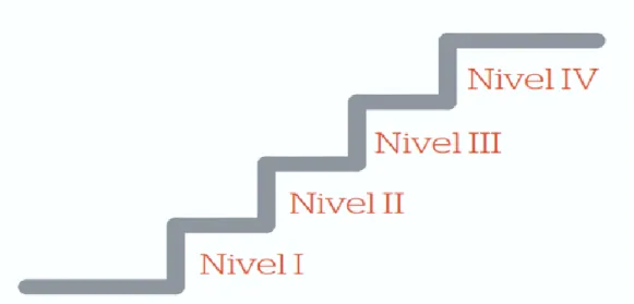 Figura 1.Escala de niveles 