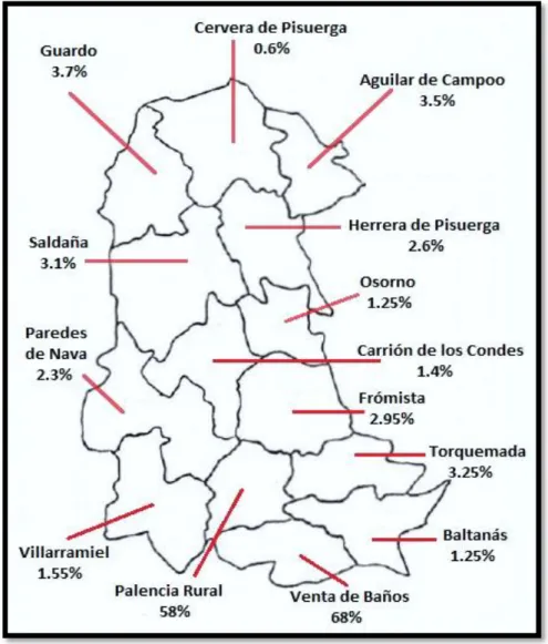 Figura 2: Procedencia de los pacientes.  Representación en porcentaje de las urgencias atendidas en el  Hospital Río Carrión de Palencia según la procedencia de su población
