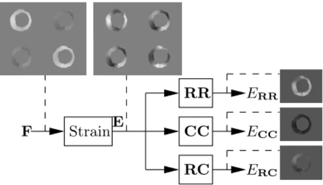 Figure 3: Flowchart of the Green-Lagrange strain components calculation. For those steps in which a tensorial signal is generated, the different components are represented as different images.