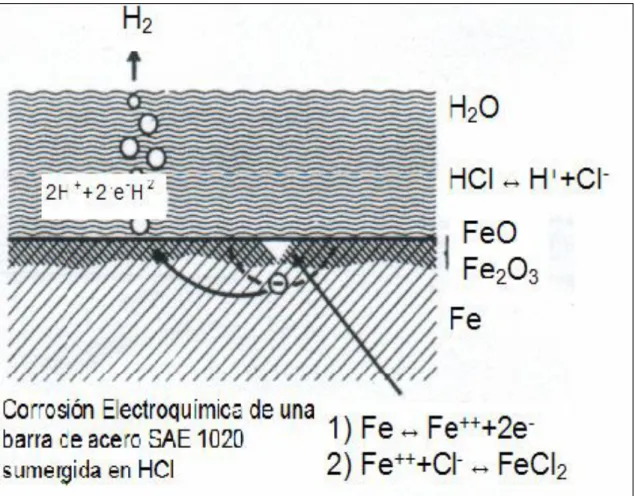 Figura 9: Descripción de la corrosión electroquímica.