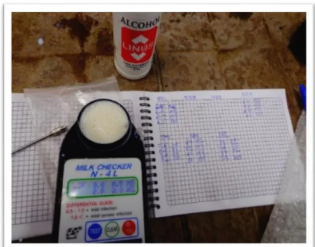 Figura 6. Limpieza de los electrodos. 