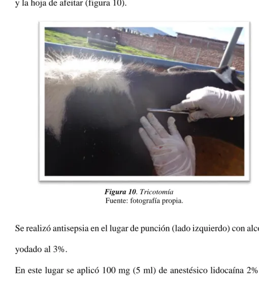 Figura 11. Aplicación de anestesia. 