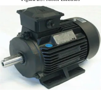 Figura 2.5: Motor Eléctrico 