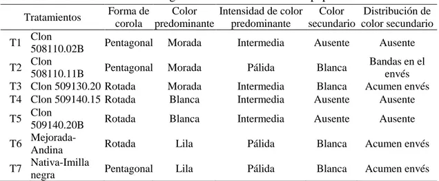 Tabla 22. Características morfológicas de la flor de clones de papa 