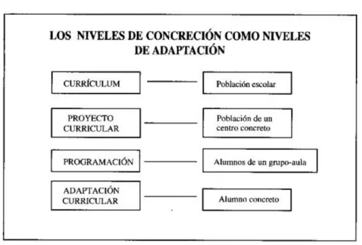 Figura 3. Niveles de concreción curricular como niveles de adaptación al alumno con NEE  Castilla y León (2009) 