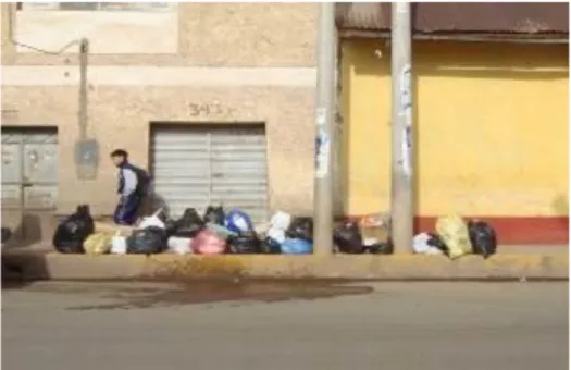 Figura 4. Bolsas de residuos sólidos en la ciudad de Puno, Av. La Torre, 2018  Fuente: Visita de Campo a la ciudad de Puno