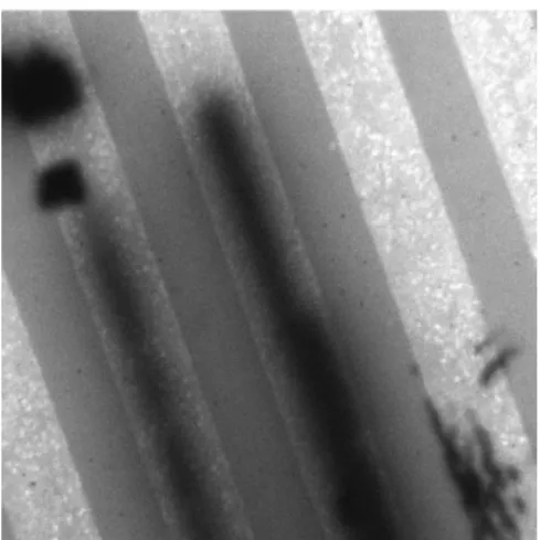 Figure 2. CL image of AlGaAs/GaAs laser showing the DLDs guided along the injection channels