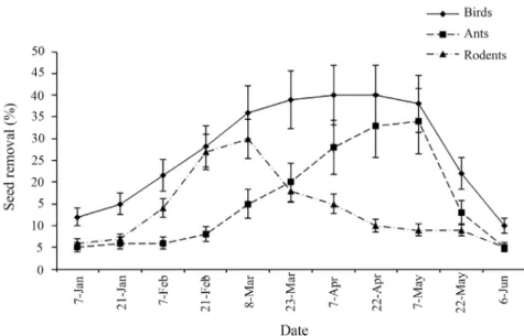 Figure 4. Seasonal variation of seed predation in P. nigra by predator group in typical  Cuenca mountains forest areas in a masting year