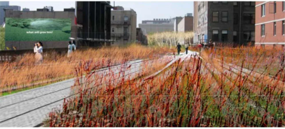 Fig. 5. High Line Project, New York. 