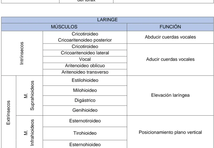 Tabla 5. Estructuras anatómicas y músculos de la cara. Fuente: Torres (2013) y  www.artnatomia.net (2014); Elaboración: Elaboración propia