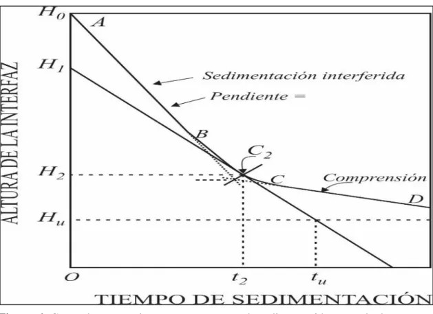Figura 6: Curva de asentamiento para un ensayo de sedimentación en cochada. 