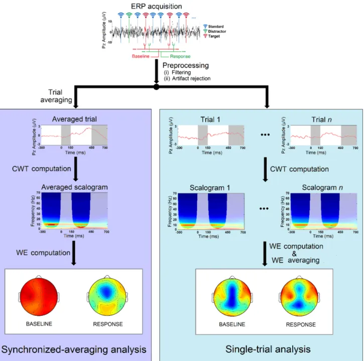 Figure 1. Descriptive diagram corresponding to SA and ST analyses. 