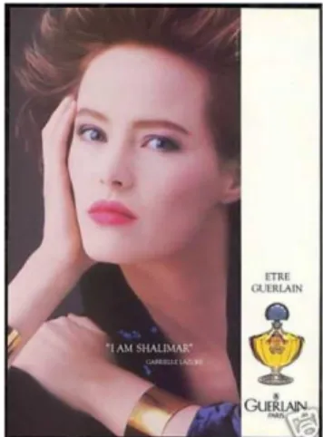 Figura 3: Gráfica Guerlain 