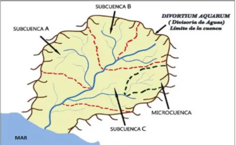 Figura N° 2.2: División de una cuenca hidrográfica; Subcuencas y micro  cuencas 