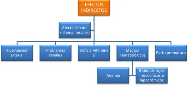Gráfico 3. Efectos indirectos en el organismo derivados de la toxicidad del plomo 