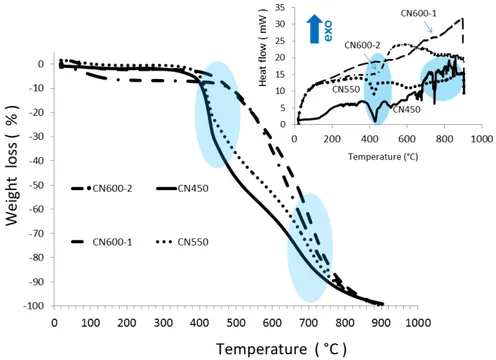 Fig.  6.  Thermogravimetric  curves  of  CN450, CN550, CN600-1, and CN600-2.  Inset: 
