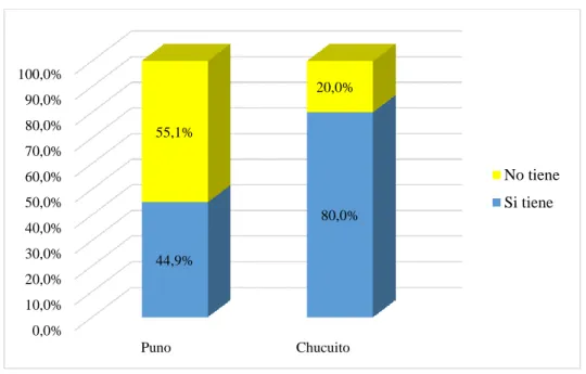 Tabla 14: Material predominante de la vivienda de los beneficiarios del  Programa Pensión 65 en los distritos de Puno y Chucuito, 2019