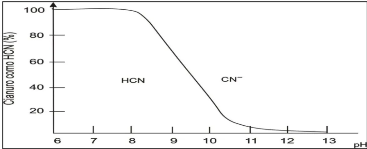 Figura 5. Formación de cianuro de hidrogeno y cianuro libre  Fuente: Perez e Higuera, 2008