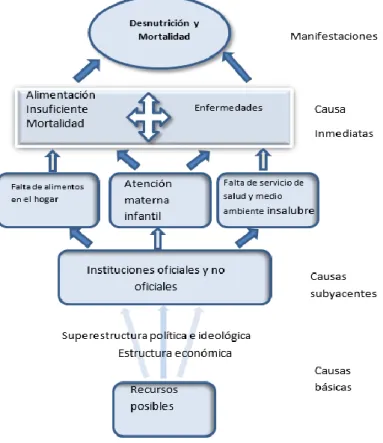 Figura 4: Causas de desnutrición y la mortalidad infantil 